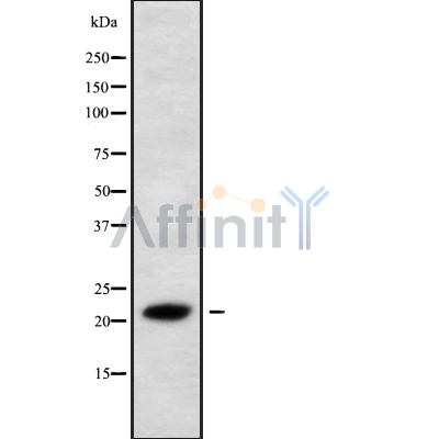 Валидация Affinity DF10159 - 5690