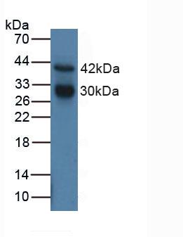 5488