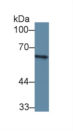 14110