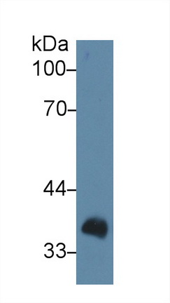14048