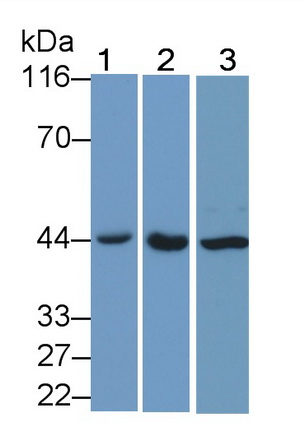 7822