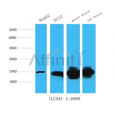 Валидация Affinity BF0707 - 5380