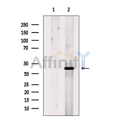 Валидация Affinity DF8940 - 21097