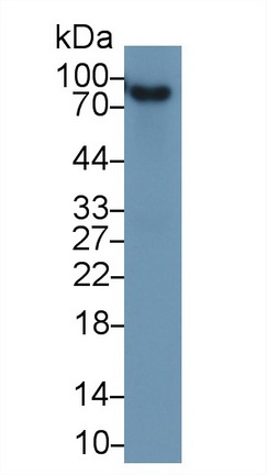 13357