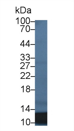 10758