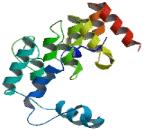 Coiled Coil Domain Containing Protein 144 N-Terminal Like Protein (CCDC144NL)
