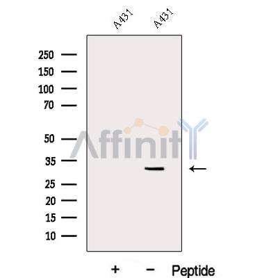 Валидация Affinity DF12938 - 7694
