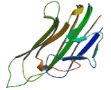 Vascular Endothelial Growth Inhibitor (VEGI)