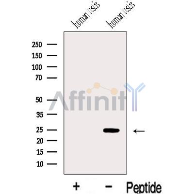 Валидация Affinity DF13084 - 7965