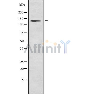 Валидация Affinity DF9758 - 22584