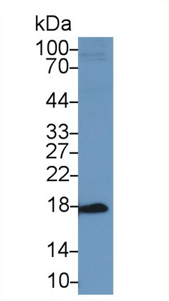 13354