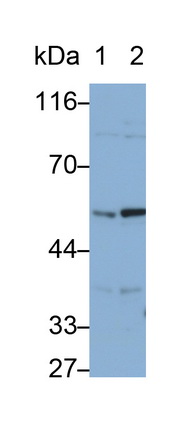 27395