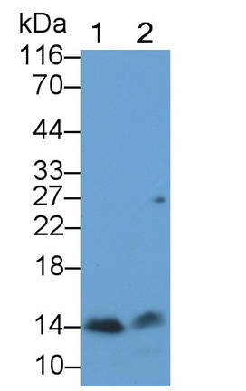8750