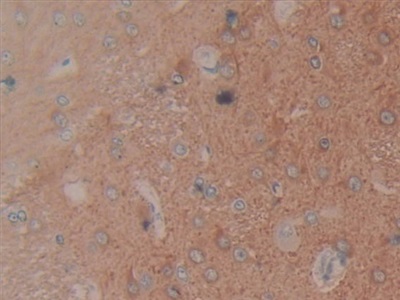 11429