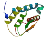 Colony Stimulating Factor 2, Granulocyte Macrophage (GMCSF)