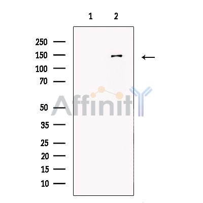 Валидация Affinity DF13489 - 8865