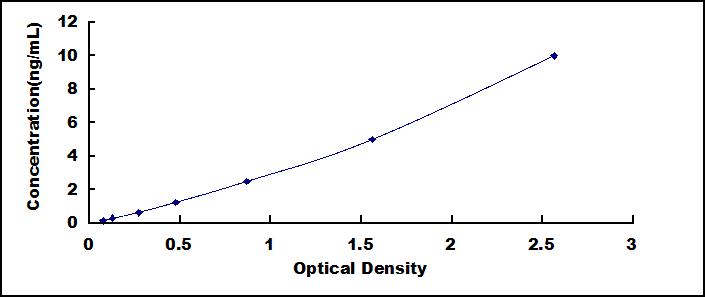 65119