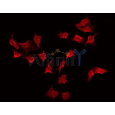 Валидация Affinity DF6008 - 17228