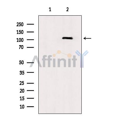 Валидация Affinity DF6426 - 17798