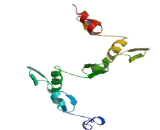 Zinc Finger Protein 563 (ZNF563)
