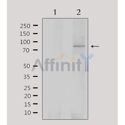 Валидация Affinity DF7921 - 19752