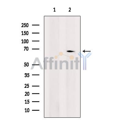 Валидация Affinity AF6497 - 3832