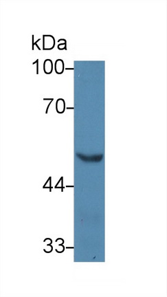 13949