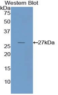 41780