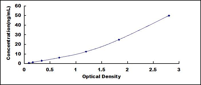 61051