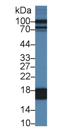 9866