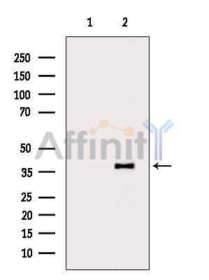 Валидация Affinity DF9357 - 21863