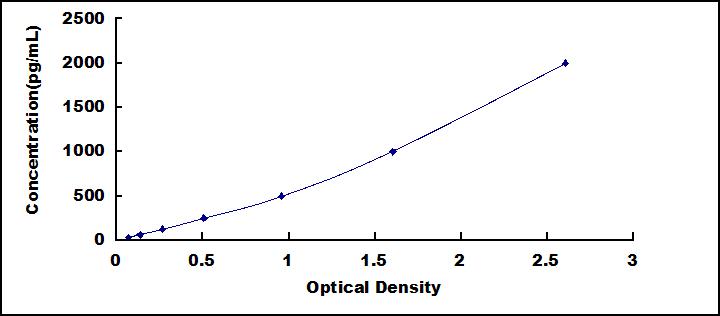 42043