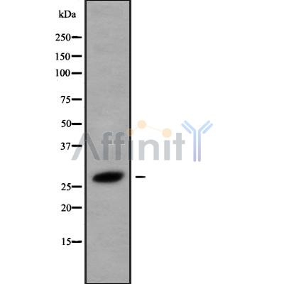 Валидация Affinity DF9578 - 22267