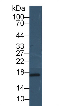 19309