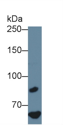 14939