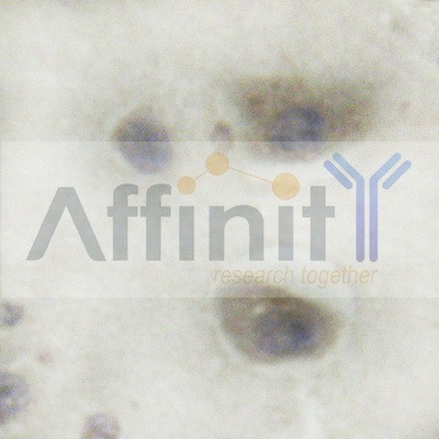 Валидация Affinity AF6298 - 3567