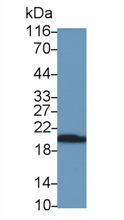 47690