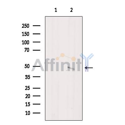 Валидация Affinity DF6185 - 17437