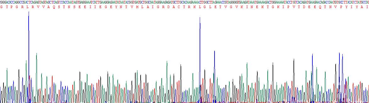 20660