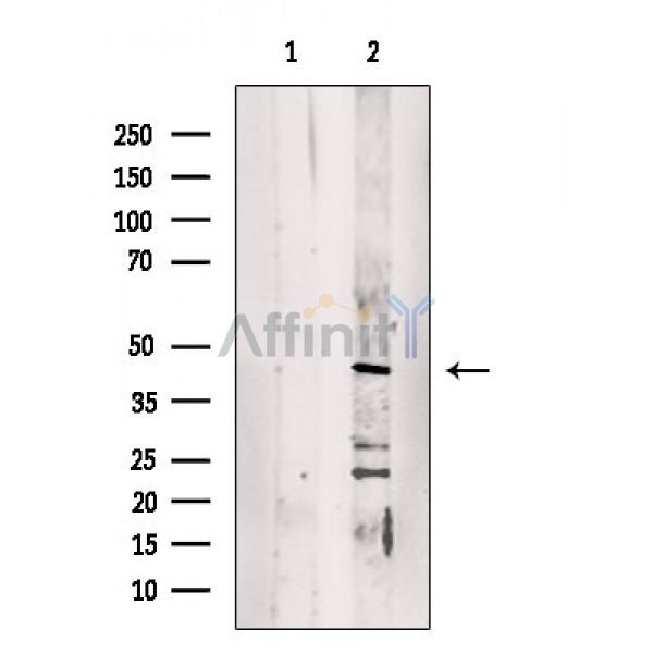 Валидация Affinity DF3380 - 14264