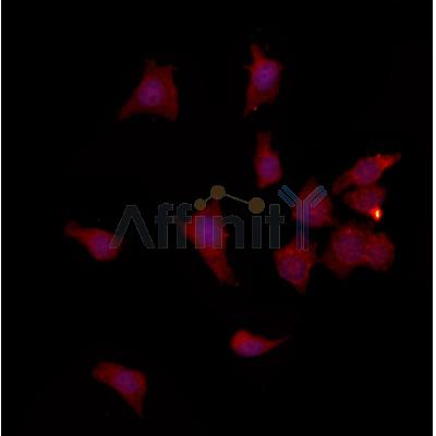 Валидация Affinity DF12272 - 6610