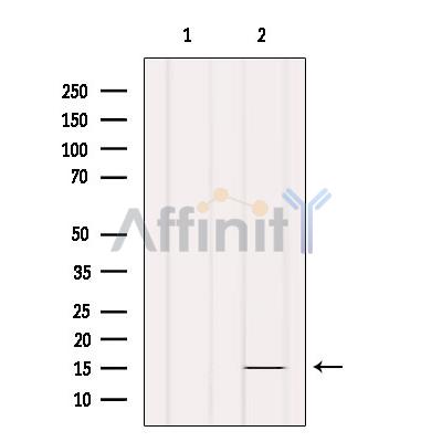 Валидация Affinity DF8991 - 21193