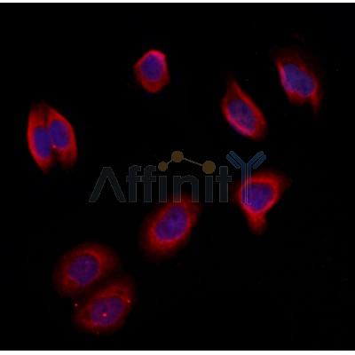 Валидация Affinity DF12425 - 6937