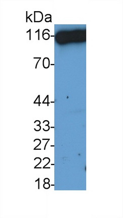 39920