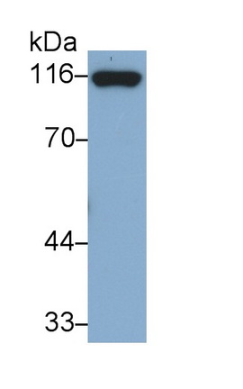 30679