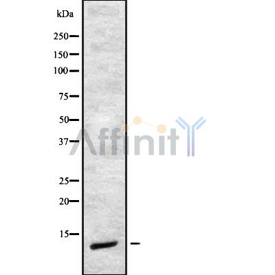 Валидация Affinity DF8875 - 20976