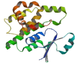 Prostaglandin D2 Synthase, Hematopoietic (PTGDS)