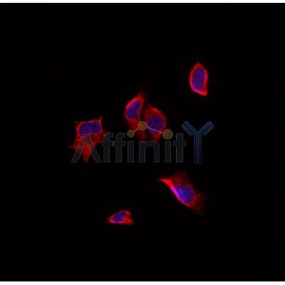 Валидация Affinity DF3129 - 13912