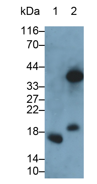 30811