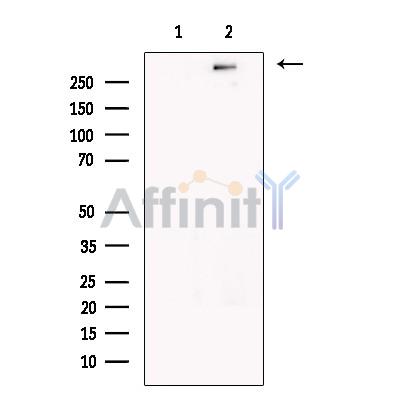 Валидация Affinity DF13336 - 8523